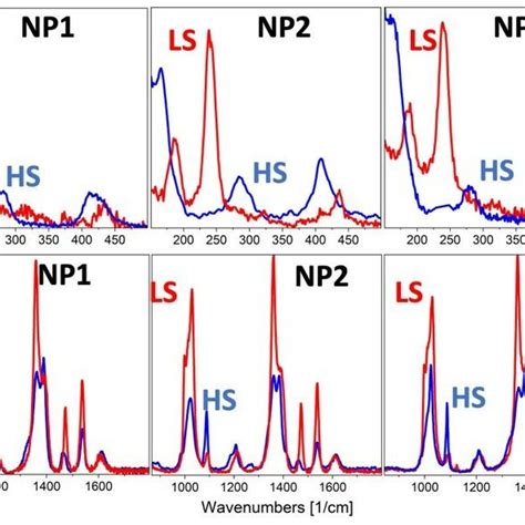 Comparison Of Hs Raman Spectra Blue Line And Ls Raman Spectra Red