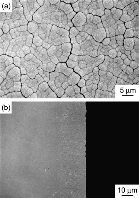 Morphology Of A YSZ Film Prepared On Hastelloy XR Alloy Substrate At