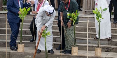 Uae President Plants Mangrove Tree At Ngurah Rai Forest Park Indonesia