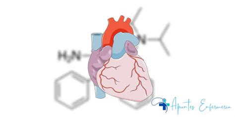 Fármacos Antiarrítmicos Consideraciones De Enfermería Y Gestión 【2024】