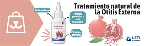 Tratamiento Natural Para La Otitis Externa Riovet