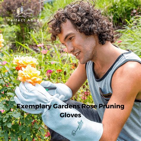 Discover The Best Rose Pruning Gloves For Comfort And Protection Perfect Abode