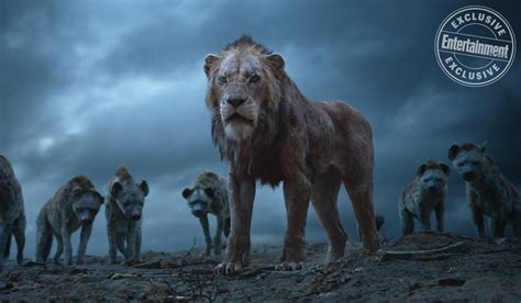 Characters In The Lion King 2019 Tv Tropes