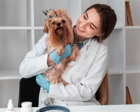 O que diferencia um hospital veterinário de uma clínica veterinária