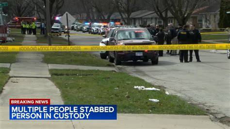 4 dead, 5 injured after Illinois stabbing spree; suspect in custody ...