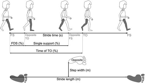 Relationship Between Spatiotemporal Parameters And Clinical Outcomes In