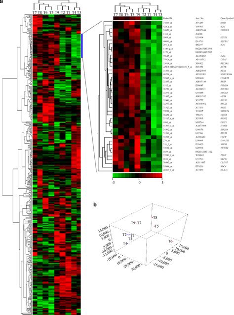 Comparison Of Gene Expression Profiles In PAX8 PPAR FTCs T1T4 And