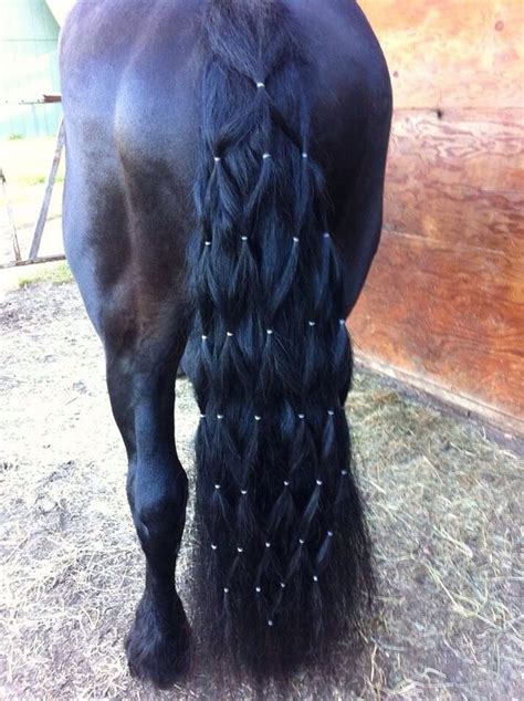 Impressive Horse Mane Braids | Rustic Western Furniture Store