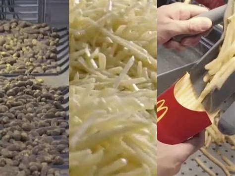 Are Mcdonalds chips made from potatoes? – Fabalabse