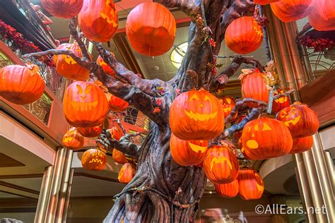 Confirmed Halloween On The High Seas Is Returning To Disney Cruise