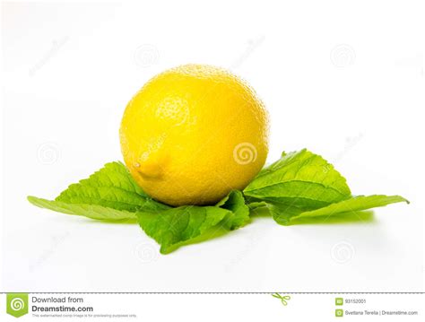 Composition Of Lemon And Mint Leaves Stock Image Image Of Lime