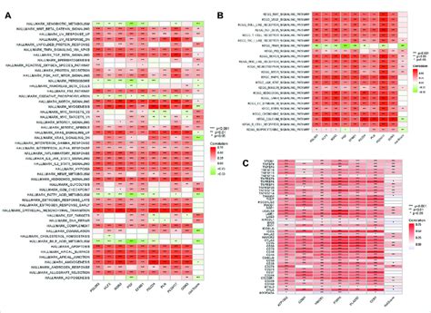 Enrichment Pathways Of GSVA A Heatmap Showing The Correlation Of