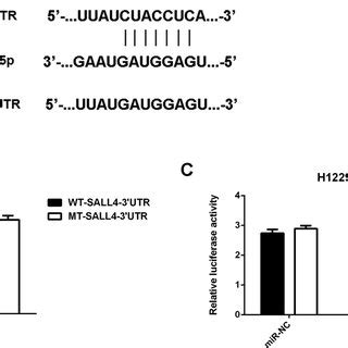 Mir Inhibits The Proliferation Of Nsclc Cells A And H Cells