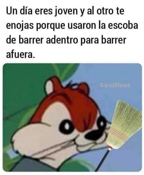 Pin De Magally Deveau En Espa Ol Chistes Divertidos Memes Divertidos