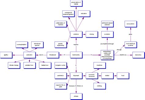 Concept Map - Biology E-Portfolio