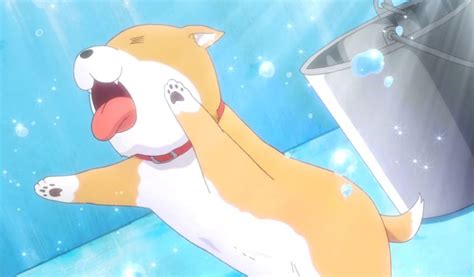 Top 20 Cute Anime Pets You Wish You Could Have