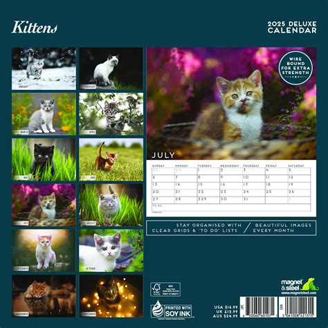 Kittens Kalender Deluxe Kopen Bestel Eenvoudig Online