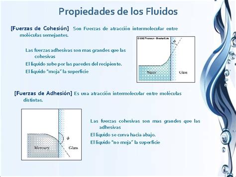 Fluidos En Reposo Y En Movimiento Estados De