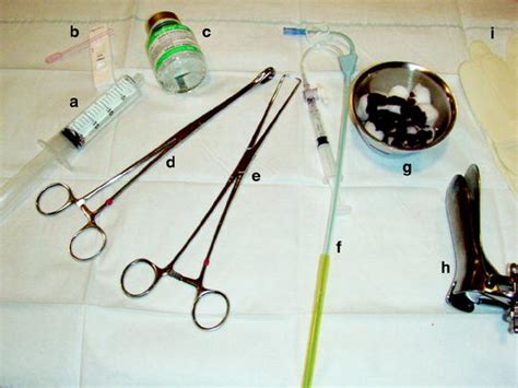 Hysterosalpingographyhysterosalpingogram Hsg Springerlink