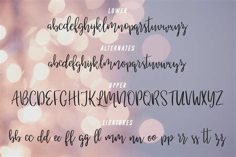 Stardust Script Font Stunning Script Fonts ~ Creative Market