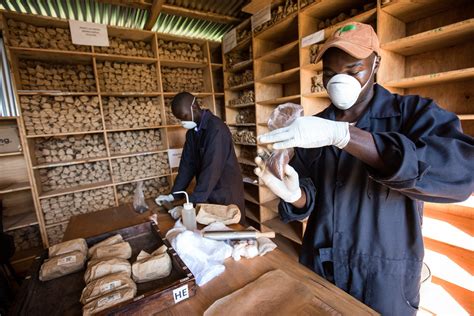 Behind The Scenes At One Acre Funds Soil Lab One Acre Fund