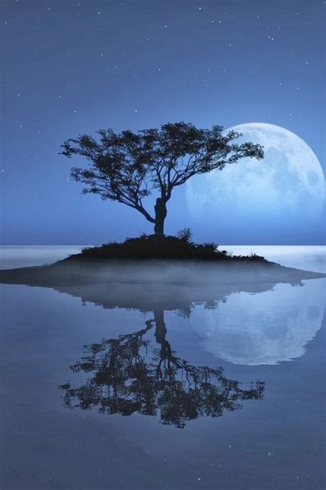 20 Amazing Reflections on Water