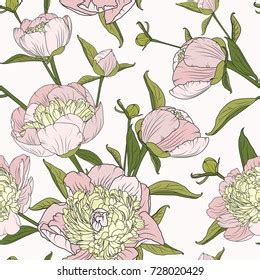 Peony Floral Seamless Pattern Texture On Stock Vector Royalty Free