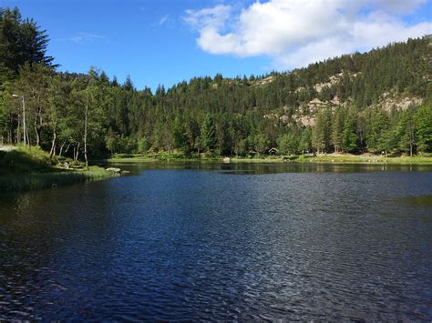 Sommer I Norge Summer In Bergen Area Norway Erna Bouillon Flickr