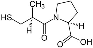 Bradykinin: Function, Effects & Inhibitors | Study.com