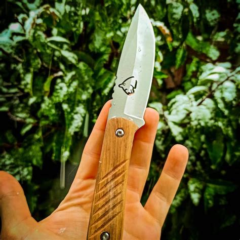 Bushcraft Anf Nger Aufgepasst Das Puma Tec G Rtelmesser Aus