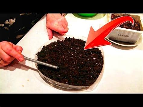 Все что нужно для посева семян ! Готовимся к новому сезону садоводства ...