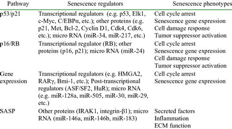 Overview of the most important senescence pathways and regulators ...