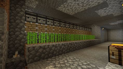 COSTRUISCO UNA FARM SUPER EFFICIENTE DI CANNE DA ZUCCHERO Minecraft Re