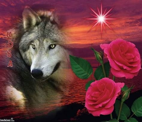 Картинки Волк С Розой – Telegraph