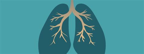 What are the 4 Types of Airway Inflammation in Asthma?