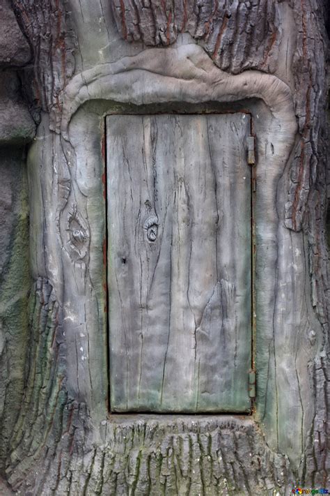 door  tree  image