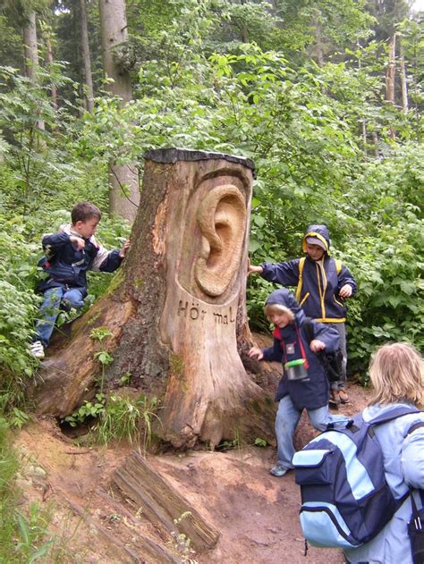 Natur Und Geschichte Erleben Das Kann Man Im Albtal Auf Vielen