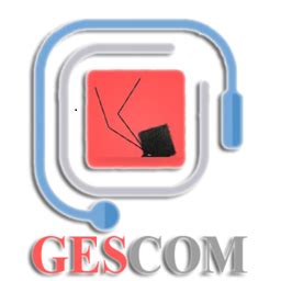 Gescom V Vente Et Stocks Devmada La R F Rence Du Digital