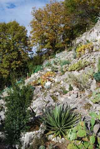 L Volution Du Jardin Des Epines De Lespinet Au Fil Des Saisons