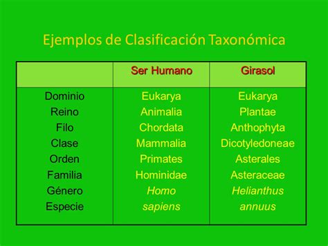 Taxonomía y nombres científicos de los seres vivos ppt video online