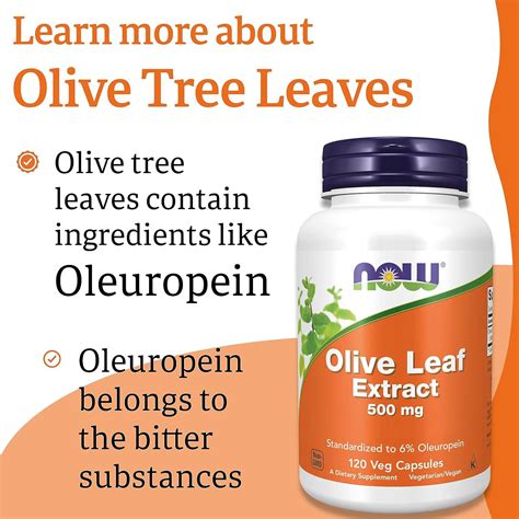 Now Foods Olive Leaf Extract 500mg High Oleuropein Vegan Capsules Lab