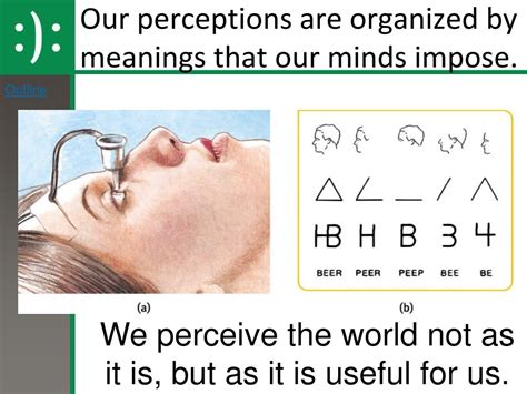 Ppt Unit Sensation Perception And States Of Consciousness