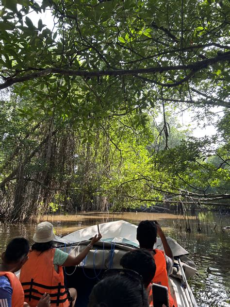 Bentota River Safari - No. 01 Boat Safari in Bentota