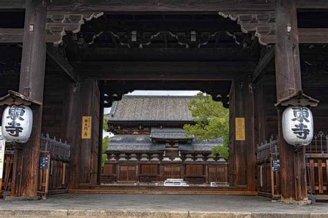 Toji Temple(night view) – Private Tour in Kyoto Wearing Kimono with Tea ...