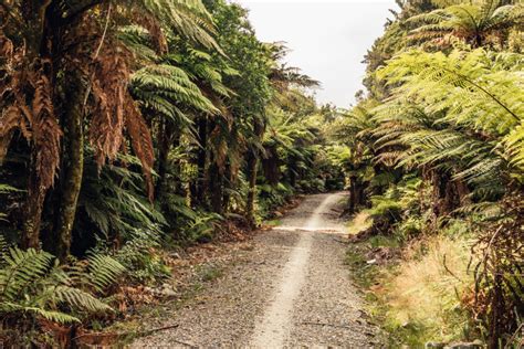 Cycle The West Coast Wilderness Trail Great Ride Tobinka