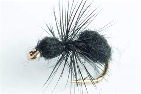 Chernobyl Ant Black And Chartruese 1 Dozen Dry Flies Nymphs Fly Fishing