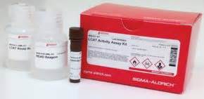 LCAT Activity Assay Kit Supplied By Roar Biomedical Inc Sigma Aldrich