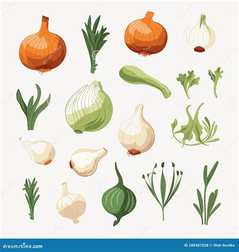 Onion Set Vector Flat Minimalistic Isolated Illustration Stock Vector