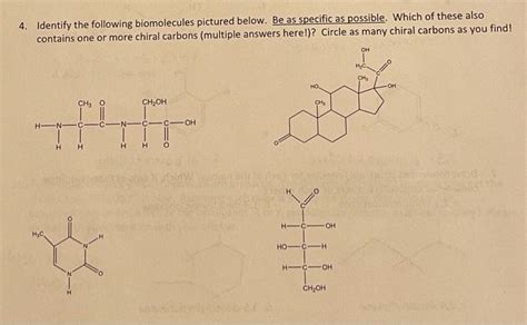 Solved 4 Identify The Following Biomolecules Pictured Chegg