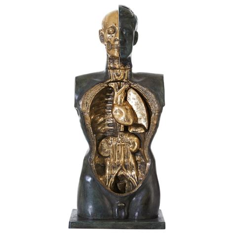 Anatomy Sculpture in Bronze and Gilded Details For Sale at 1stdibs